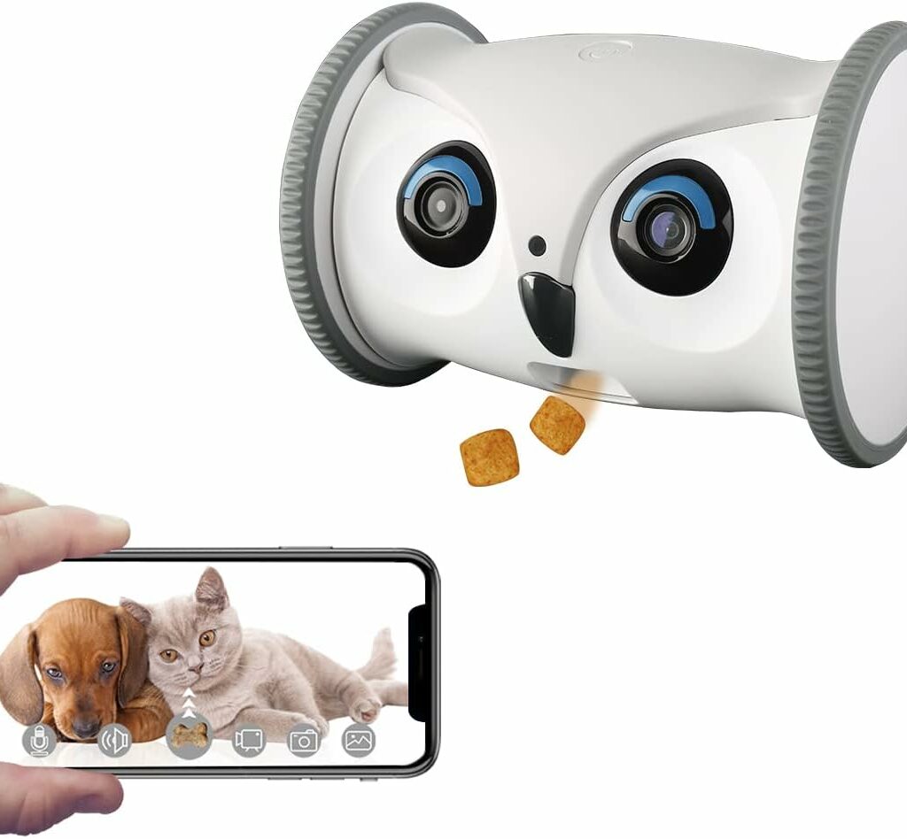 Top 10 gadgets en Amazon en Febrero de 2024 - Juguete interactivo para mascotas